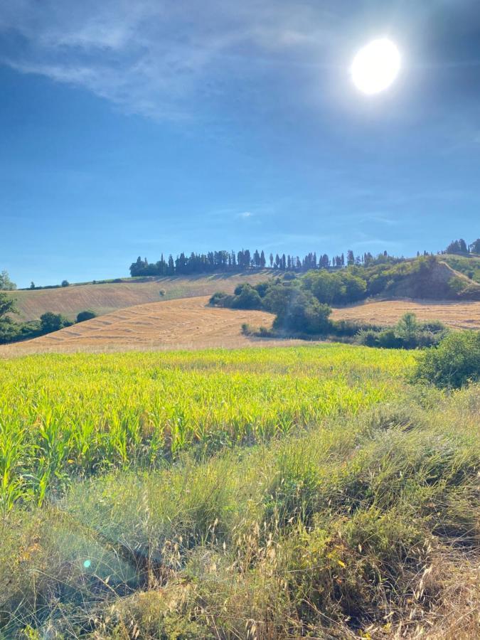 Agriturismo I Moricci Peccioli Esterno foto