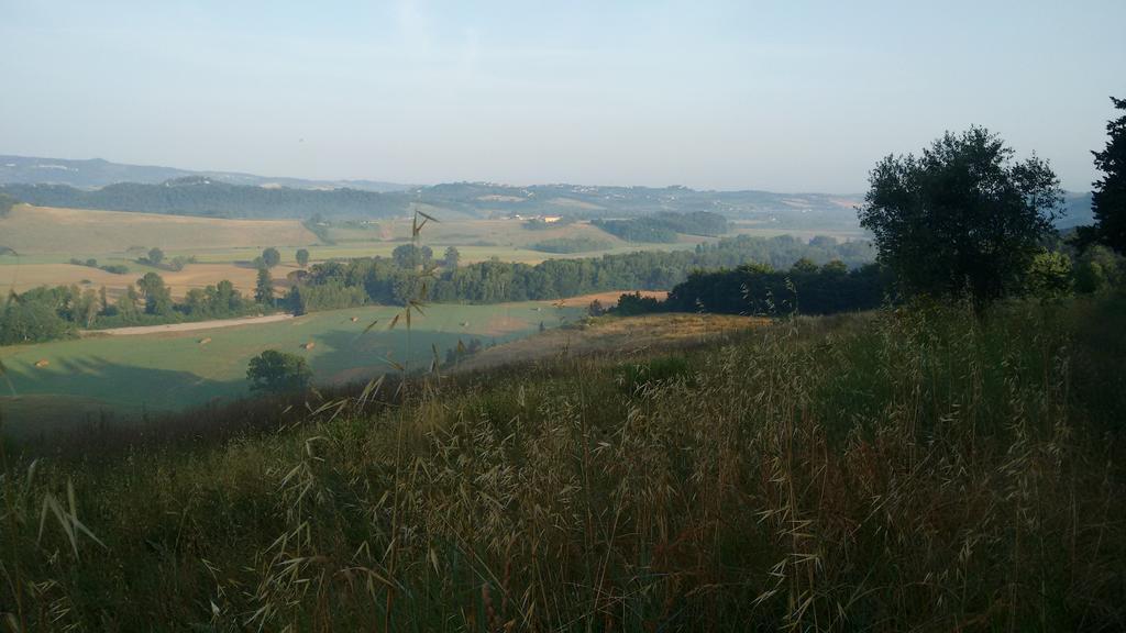 Agriturismo I Moricci Peccioli Esterno foto