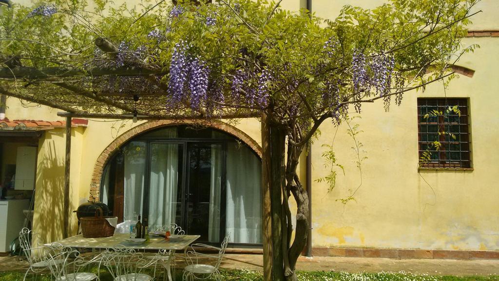Agriturismo I Moricci Peccioli Esterno foto