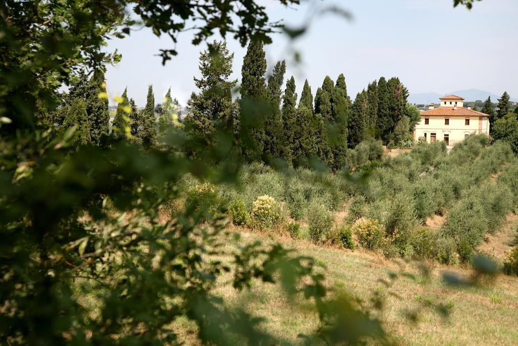 Agriturismo I Moricci Peccioli Esterno foto
